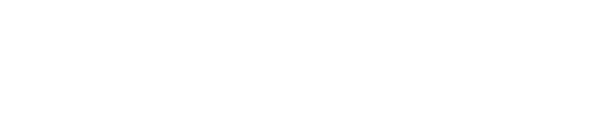 ПАТЕНТ-ДУБЛЬ